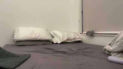 thelexirose @ chaturbate on 20241010