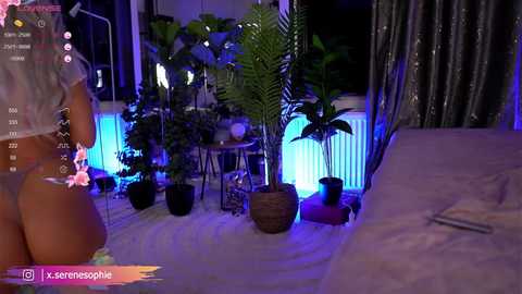 serene_sophiex @ chaturbate on 20241011