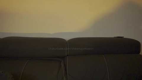 sheenajomason @ chaturbate on 20241011