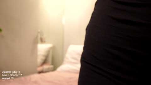 ronny_ponny @ chaturbate on 20241012