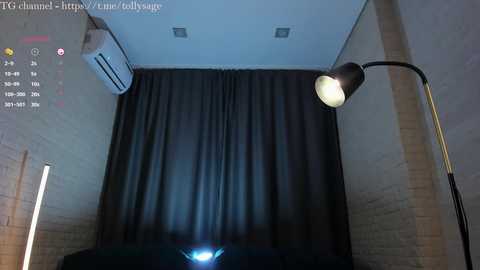 tollysage @ chaturbate on 20241012