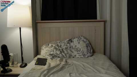 tommyjoyer @ chaturbate on 20241012