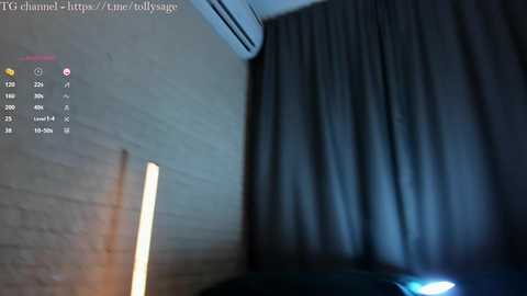 tollysage @ chaturbate on 20241013