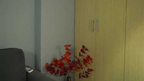 ashley_ospino @ chaturbate on 20241014