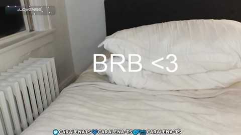bambiandfriends