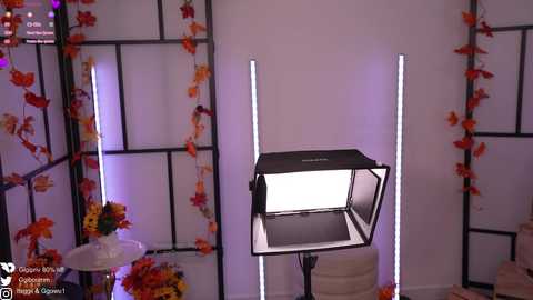 gigi_ulala @ chaturbate on 20241014