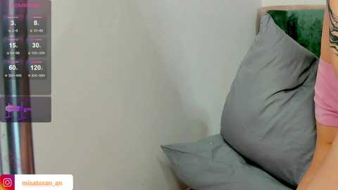 misatosan_ @ chaturbate on 20241014