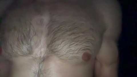 musclehair3 @ chaturbate on 20241014