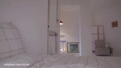 ocicat @ chaturbate on 20241014