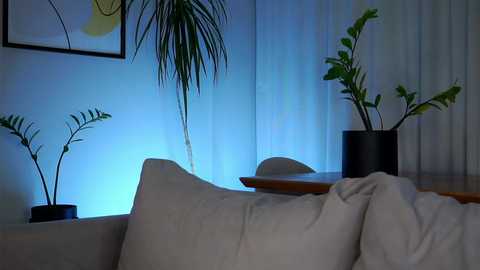 taitehambelton @ chaturbate on 20241014