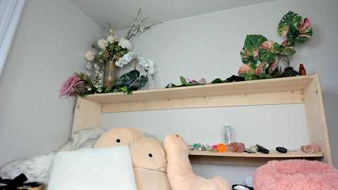 fit_american_girl @ chaturbate on 20241015