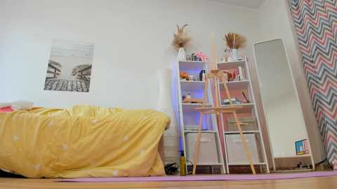 alice_forfun @ chaturbate on 20241016