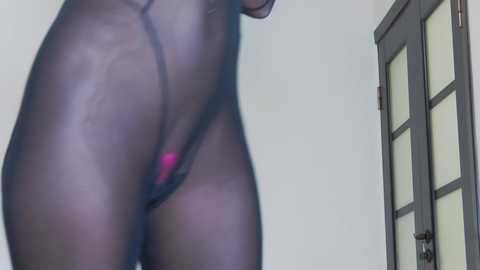 hefner_girl @ chaturbate on 20241016