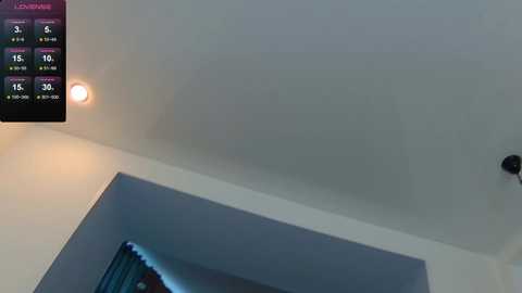 hotel_california_ @ chaturbate on 20241016