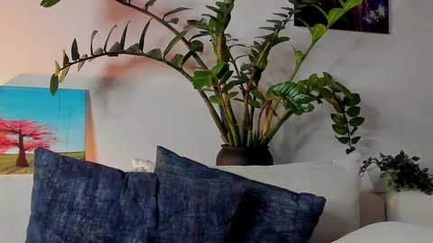 noha_miler @ chaturbate on 20241016