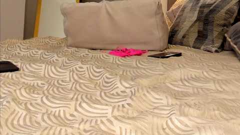 bunny_fox @ chaturbate on 20241017