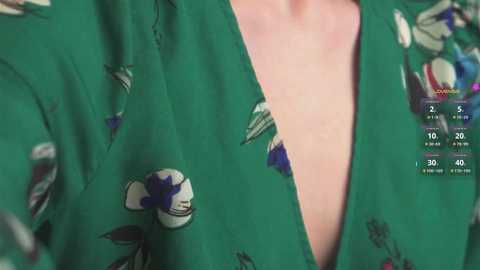 linda_kalev @ chaturbate on 20241017