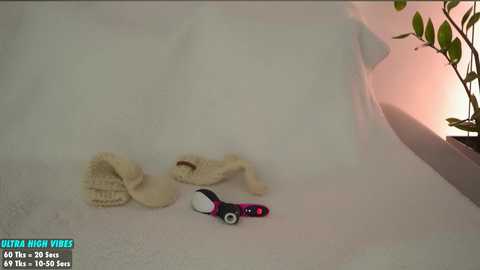 sweety_rinushka_ @ chaturbate on 20241017