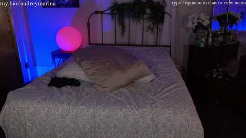 audrey_ @ chaturbate on 20241018