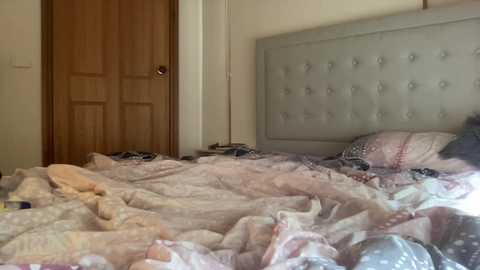 sweetmiadreams @ chaturbate on 20241018