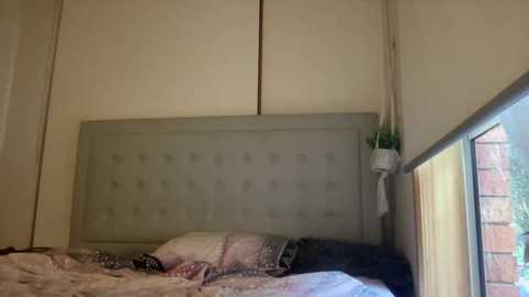 sweetmiadreams @ chaturbate on 20241018