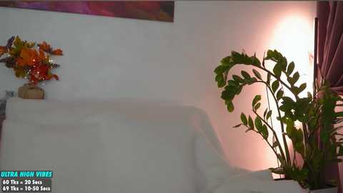 sweety_rinushka_ @ chaturbate on 20241018