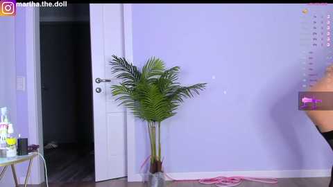 yumeko_midari @ chaturbate on 20241018