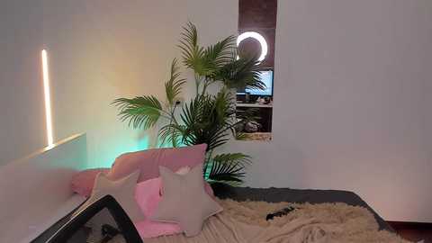 _yourfoxy_ @ chaturbate on 20241019