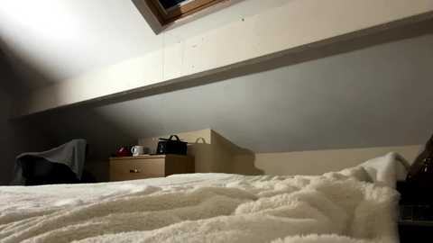 allanarey151 @ chaturbate on 20241019