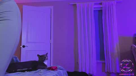 chroniclove @ chaturbate on 20241019