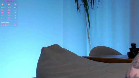 taitehambelton @ chaturbate on 20241019