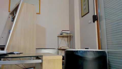 hotel77777 @ chaturbate on 20241020