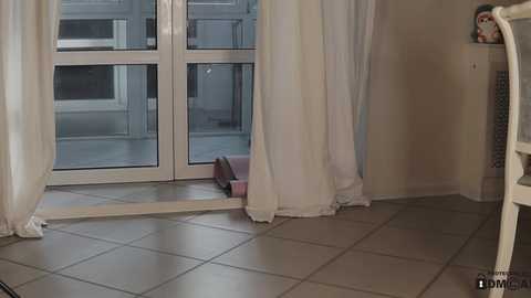 neferpita @ chaturbate on 20241020