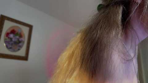tatti_1 @ chaturbate on 20241020