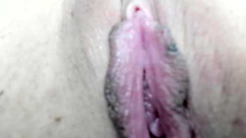 courtney_luv @ chaturbate on 20241021