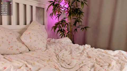 pinkncrazy @ chaturbate on 20241021