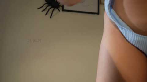 shena_nomy @ chaturbate on 20241021