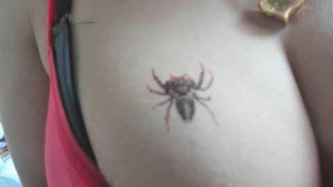 xdreamangel @ chaturbate on 20241021