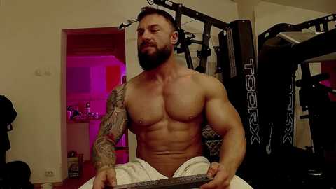 adonis_msc @ chaturbate on 20241022