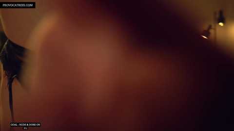 provocatrixx @ chaturbate on 20241022