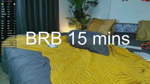 alice_n_wooderland @ chaturbate on 20241023