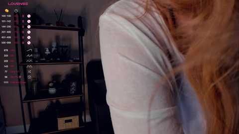 alicepreuoston @ chaturbate on 20241023