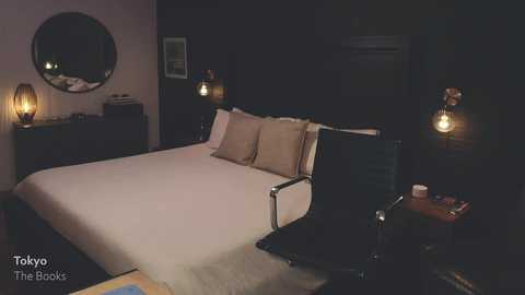 bareleeworking @ chaturbate on 20241023