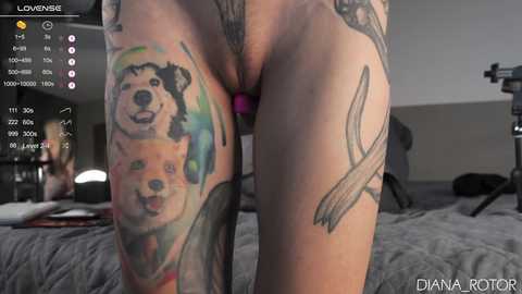 diana_rotor @ chaturbate on 20241023