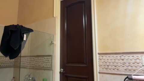 realjadebri @ chaturbate on 20241023