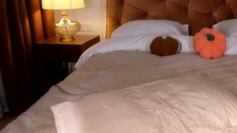 roxy_blue_eyed_ @ chaturbate on 20241023