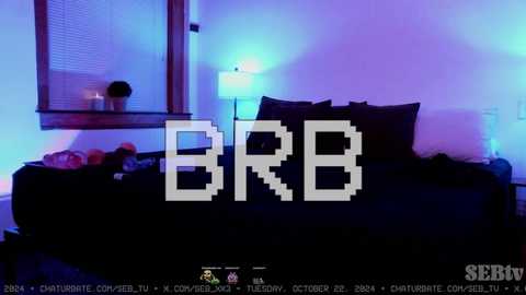 seb_tv @ chaturbate on 20241023