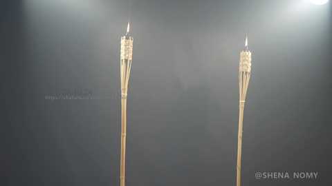 shena_nomy @ chaturbate on 20241023