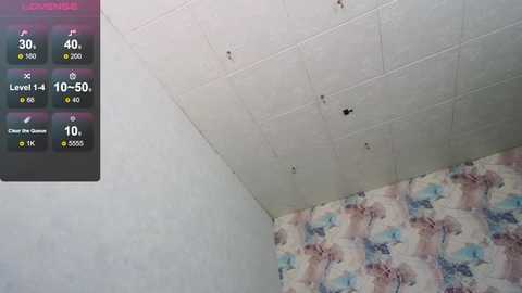 tits_your_dreams @ chaturbate on 20241023