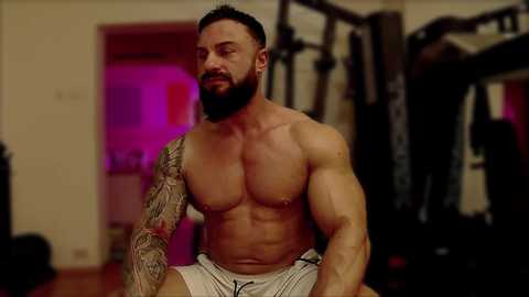 adonis_msc @ chaturbate on 20241024